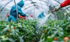 Gestione dei parassiti nel settore alimentare