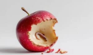 Identificazione dei punti critici e strategia di controllo