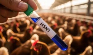 Monitoraggio dei Rodenticidi nella Fauna Aviaria
