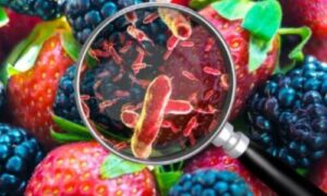 Parassiti nel settore alimentare