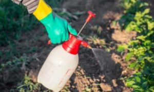 Per quanto riguarda gli spazi esterni, il primo passaggio implica la valutazione delle condizioni ambientali presenti al di fuori degli edifici principali