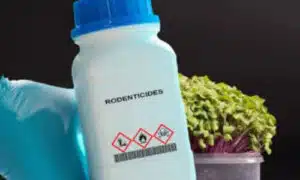 Tossicità dei rodenticidi