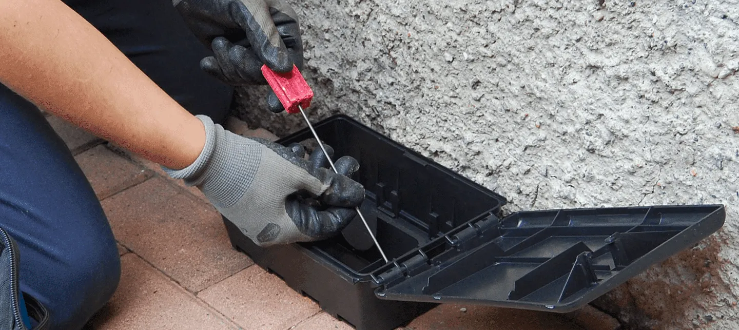 installazione trappole per topi a Pietradefusi