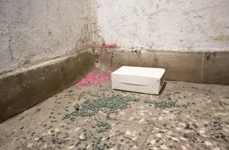 trappole per topi in condominio